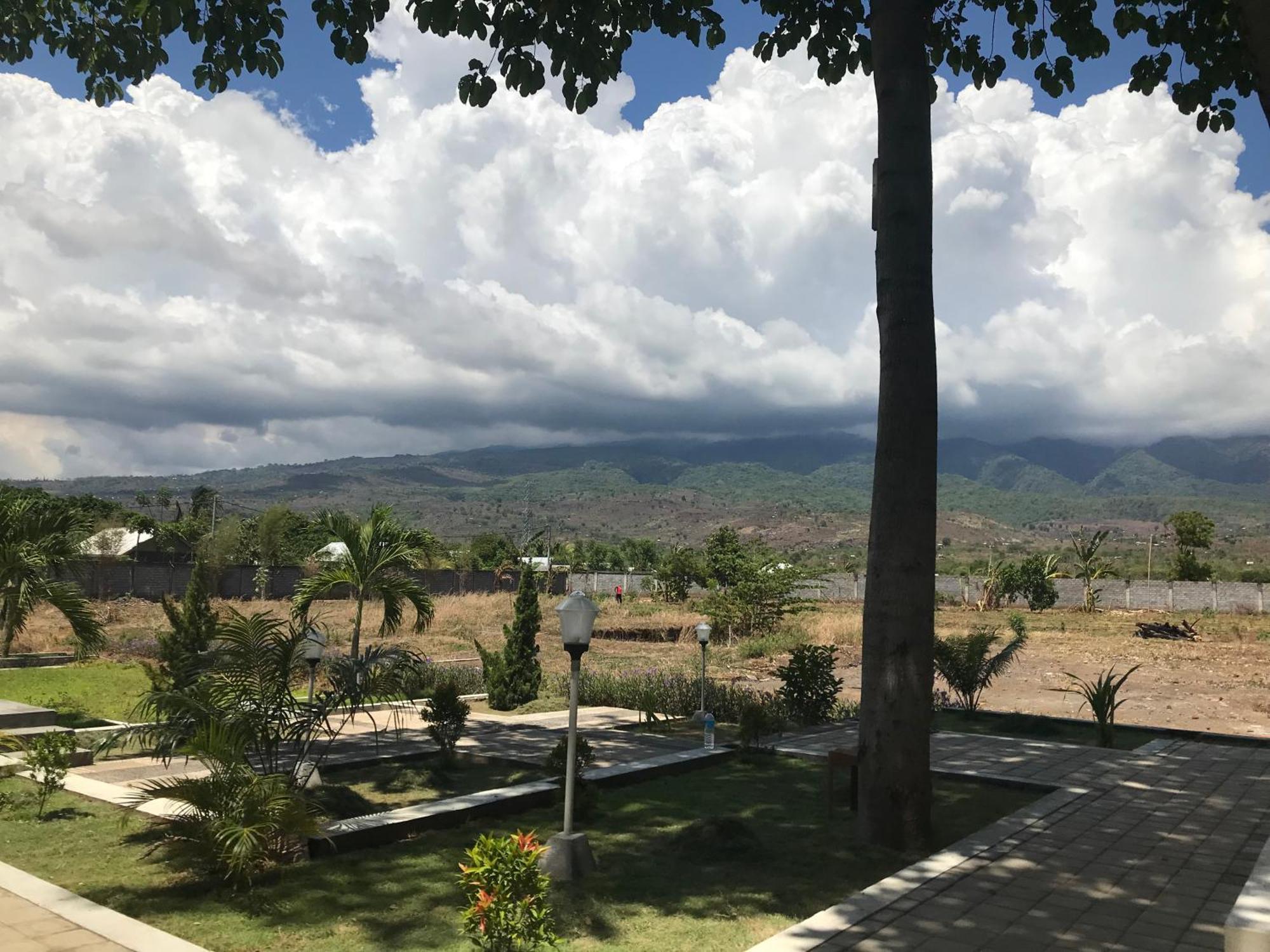 Pohon Purba Resort & Restaurant Labuhan Pandan Eksteriør billede