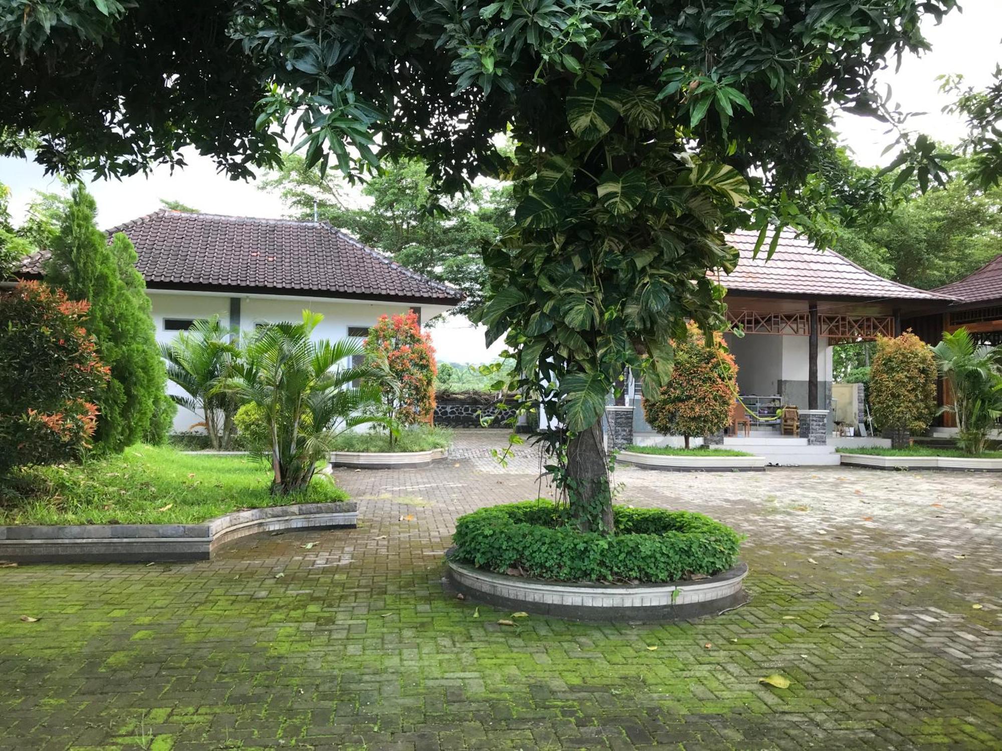 Pohon Purba Resort & Restaurant Labuhan Pandan Eksteriør billede