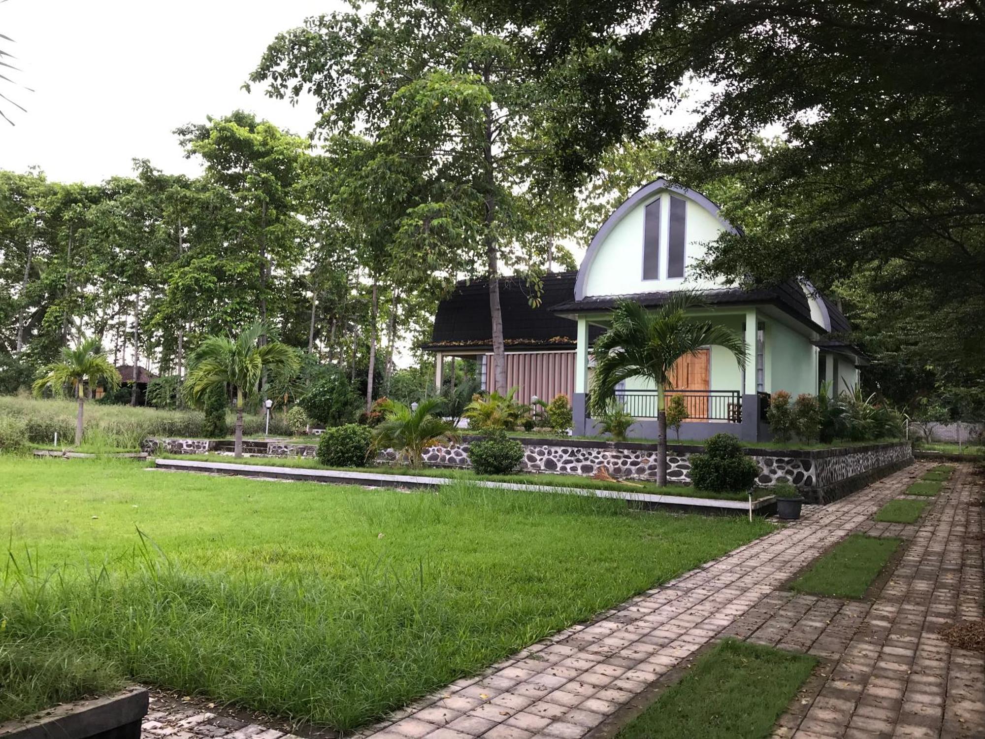 Pohon Purba Resort & Restaurant Labuhan Pandan Eksteriør billede