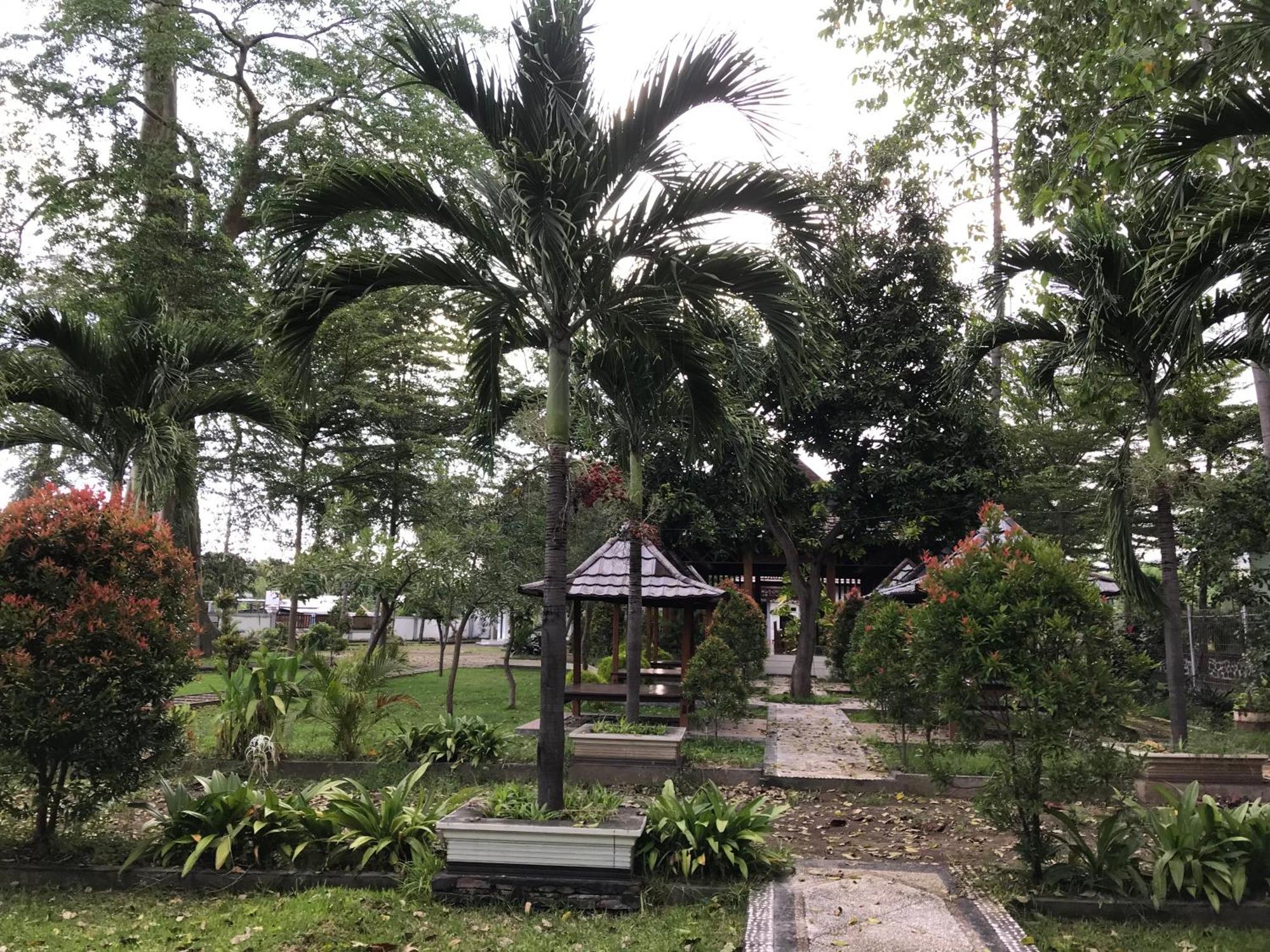 Pohon Purba Resort & Restaurant Labuhan Pandan Eksteriør billede