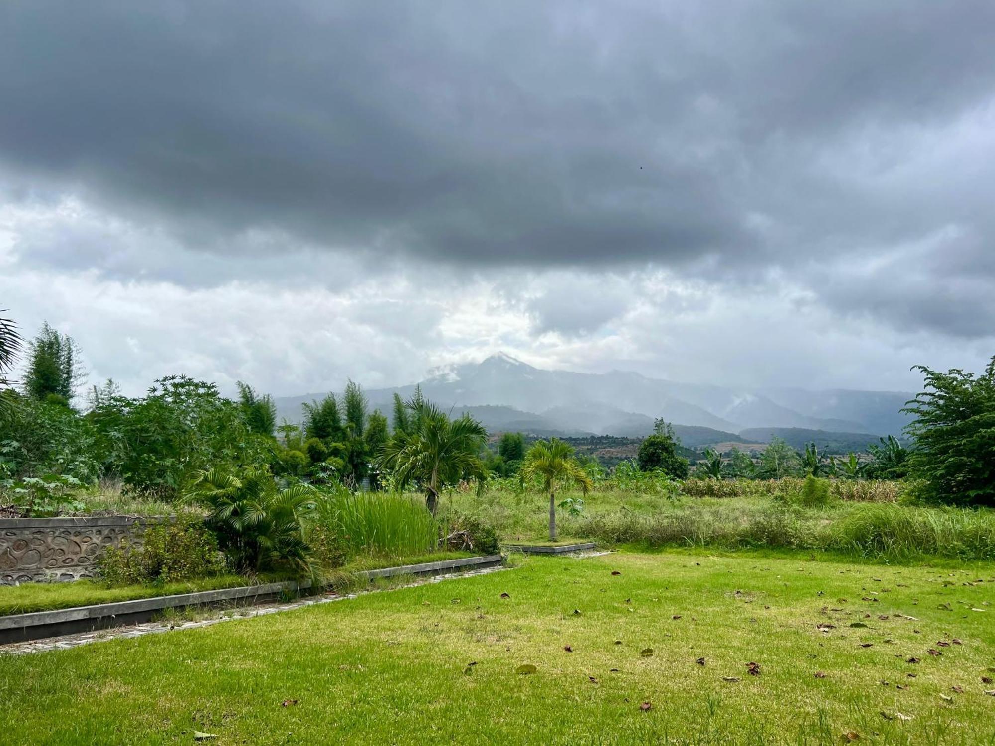 Pohon Purba Resort & Restaurant Labuhan Pandan Eksteriør billede